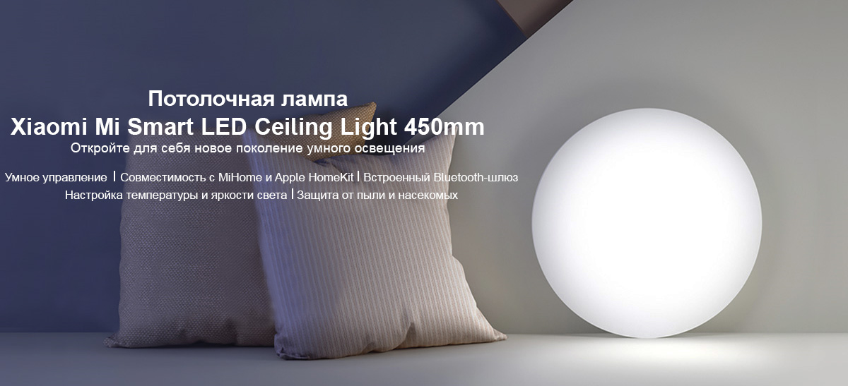 Потолочная лампа Xiaomi Mijia Ceiling Lamp 450мм (MJXDD01SYL)